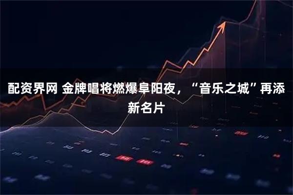 配资界网 金牌唱将燃爆阜阳夜，“音乐之城”再添新名片